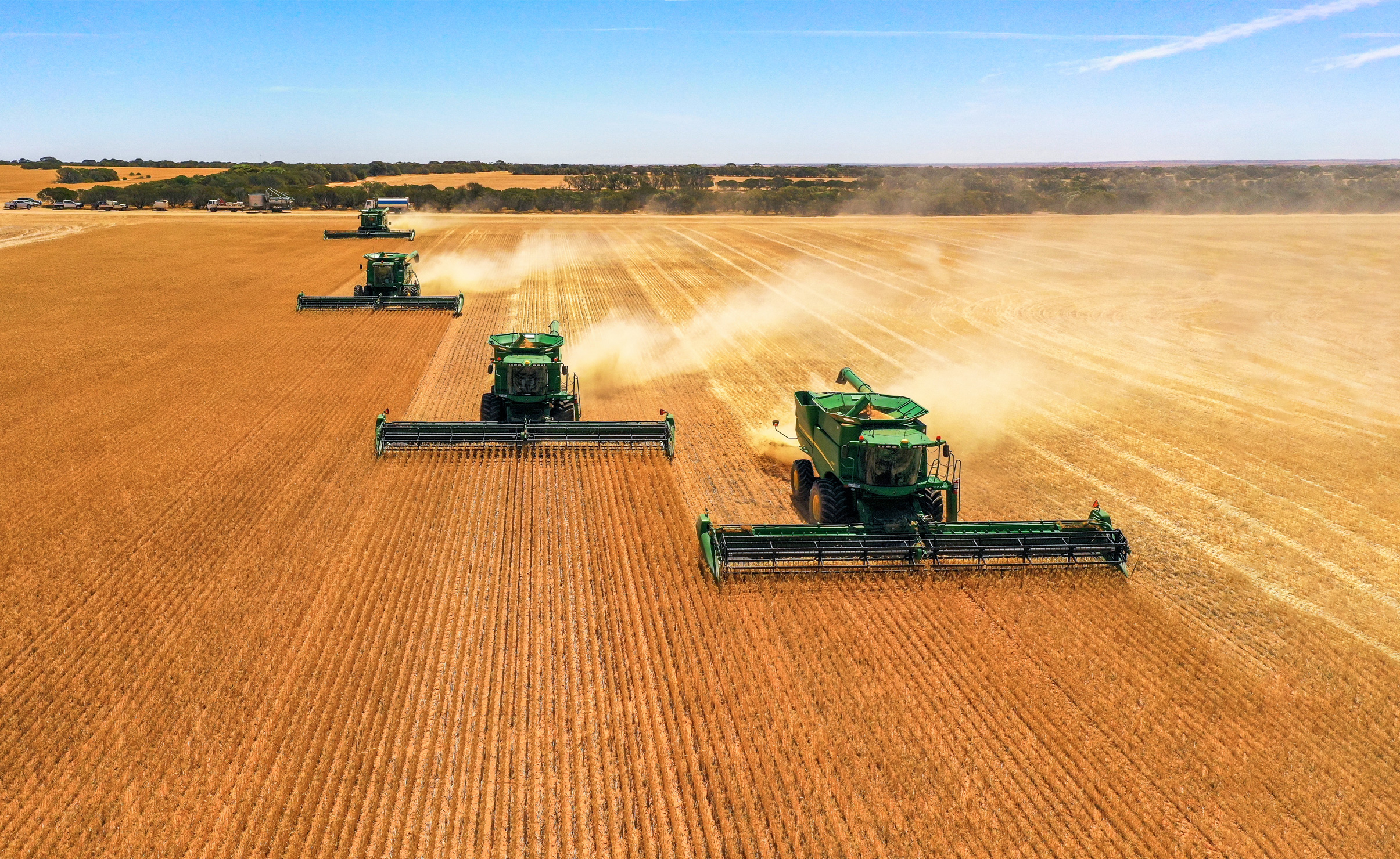 Tractors harvesting grain in a wheat field
